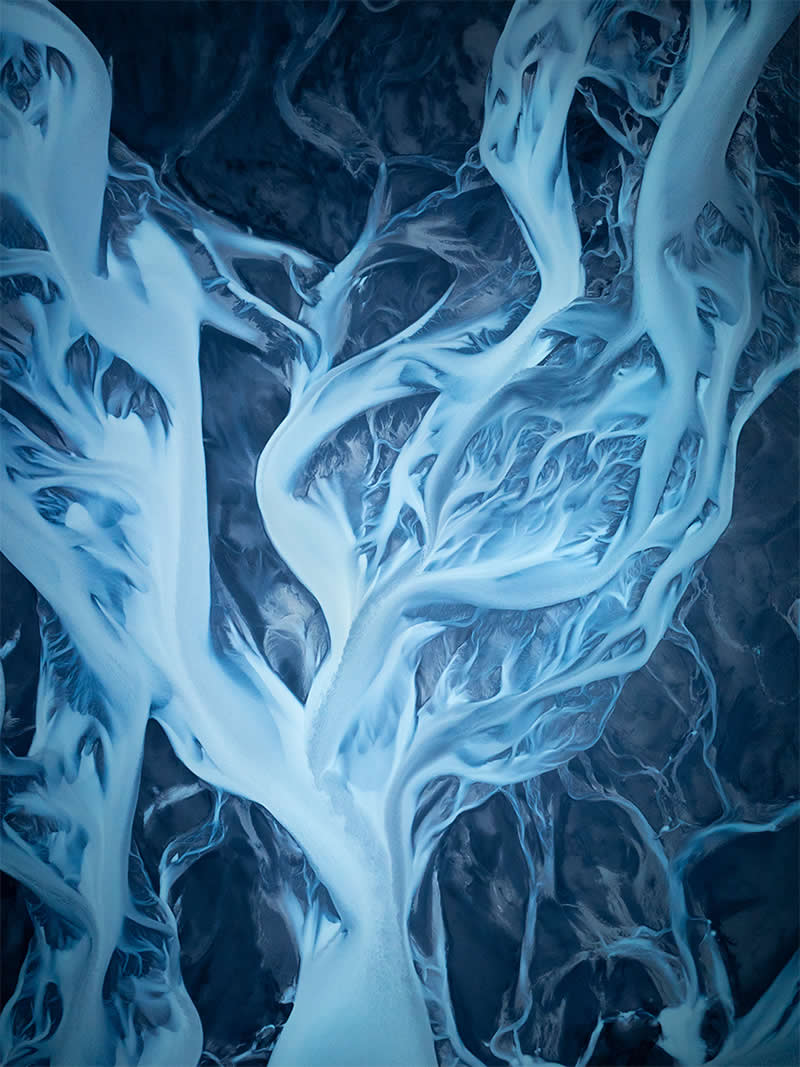 Bouquet of Flower wide by Thomas Hartstang, Germany - 2025 Chromatic Awards Landscape Winners