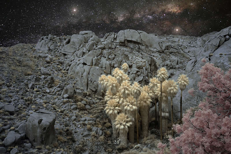 The Canyon's Family by Luciano Demasi, United States - 2025 Chromatic Awards Landscape Winners