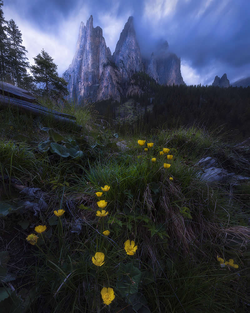 Undiscovered by Nicola Manfredi, Italy - 2025 Chromatic Awards Landscape Winners