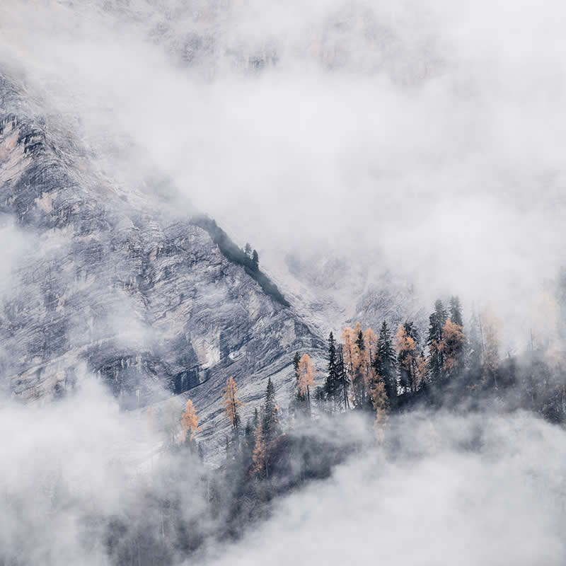 Dancing trees by Orofino Nicola, Italy, Chromatic Awards Landscape Amateur Winners