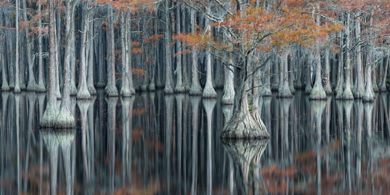 Winter Reflections by Jim Guerard, United States, Chromatic Awards Landscape Amateur Winners