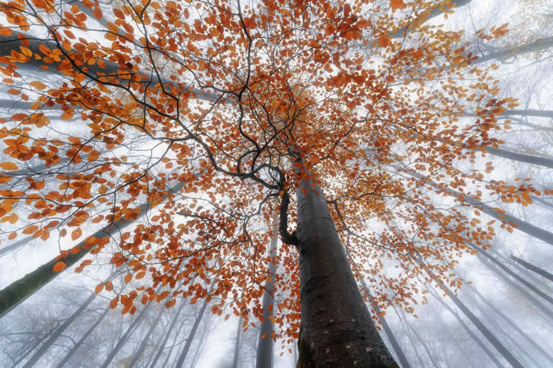 Still by Markus Albert, Germany, Chromatic Awards Landscape Amateur Winners