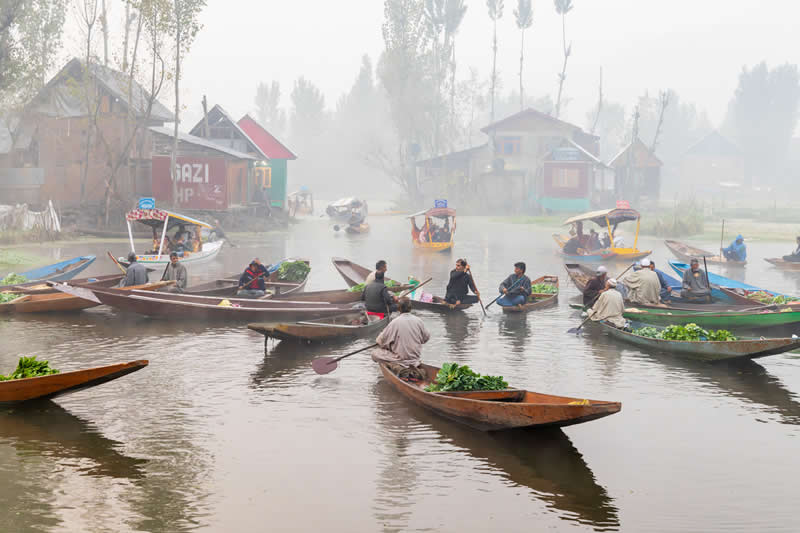 Morning at the Floating Market by Emily M. Wilson, United States - 2025 Chromatic Awards Travel Winners