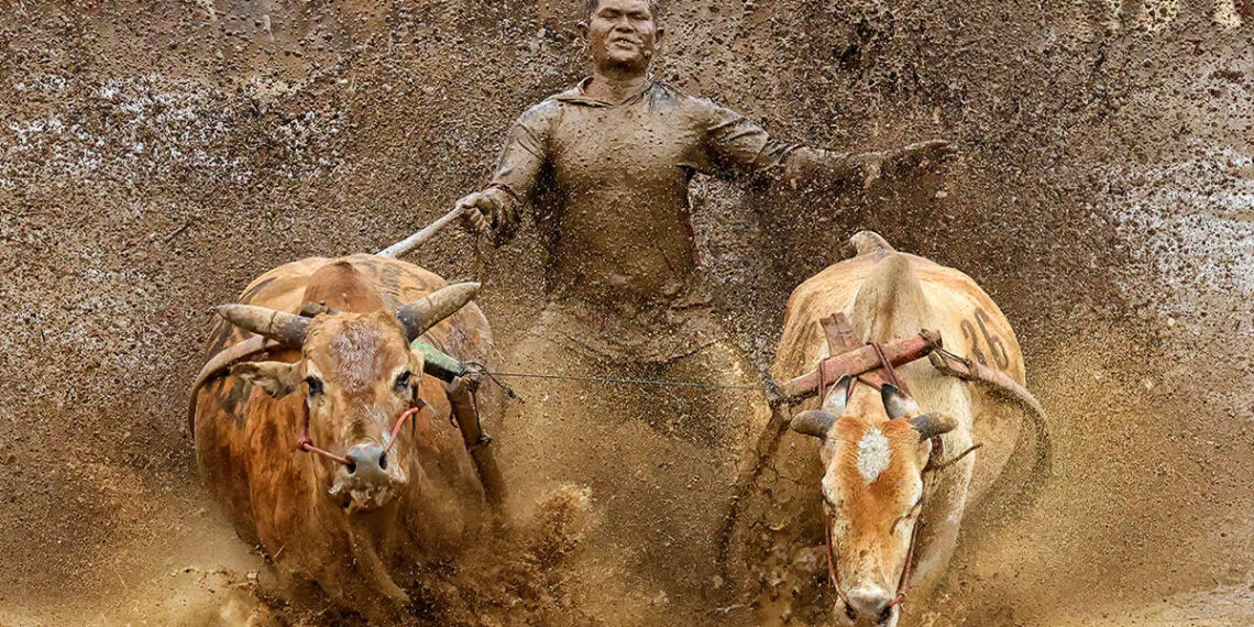 2025 Chromatic Awards Travel Winners