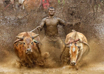 2025 Chromatic Awards Travel Winners