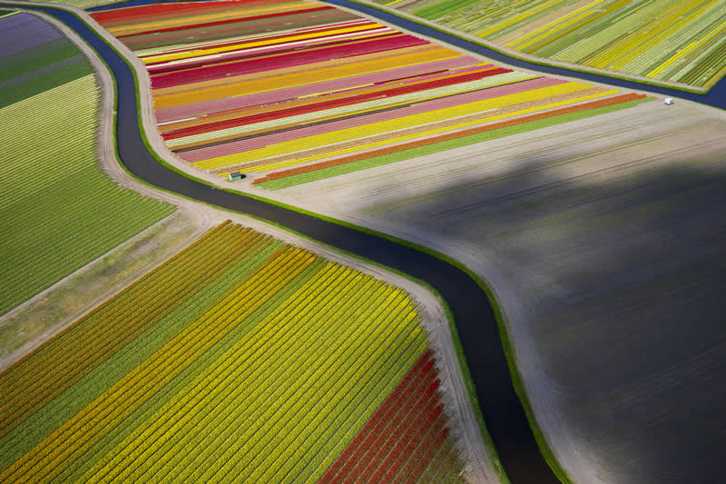 Best Photos of 2025 by DPReview