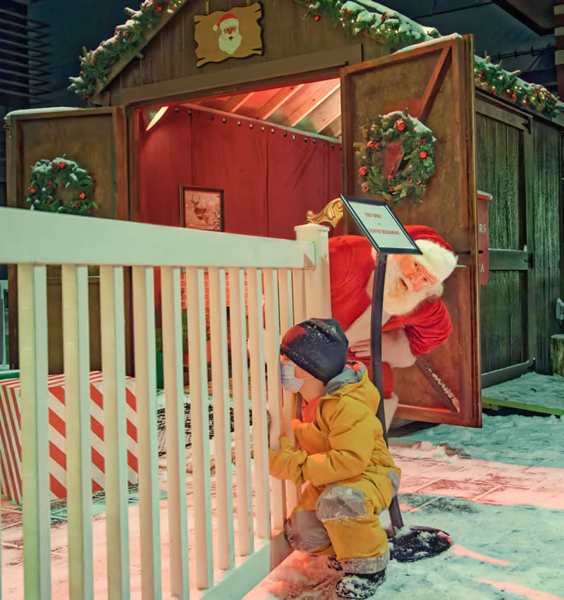 Best Photos of 2025 by DPReview