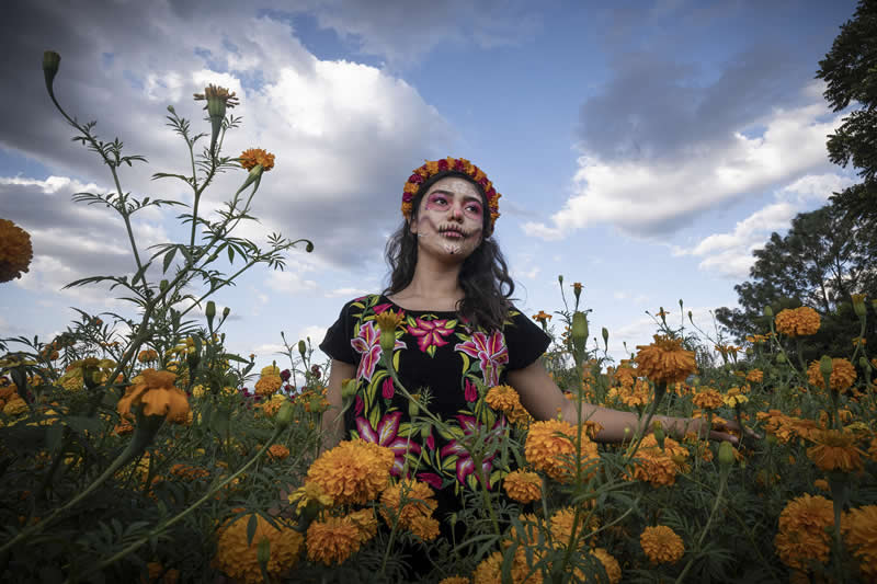 Best Photos of 2025 by DPReview