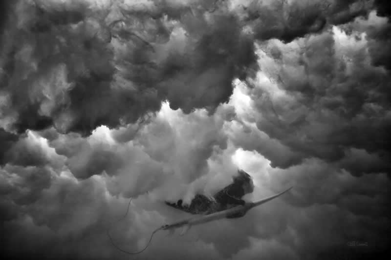 Best Photos of 2025 by DPReview