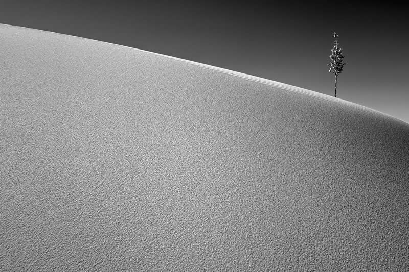 Best Photos of 2025 by DPReview