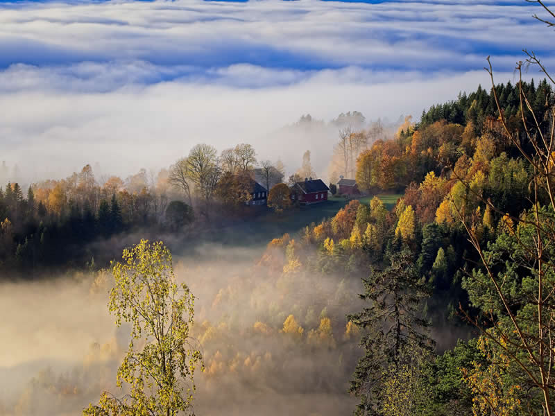 Best Photos of 2025 by DPReview