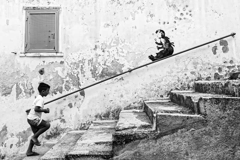 Best Photos of 2025 by DPReview