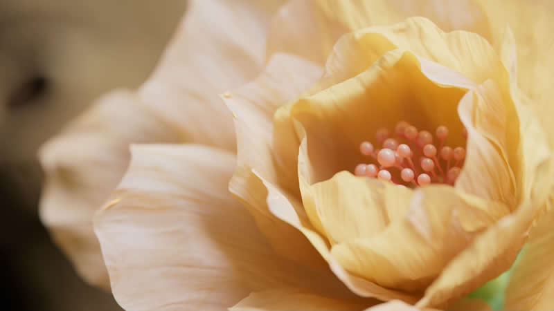 How Gen Li Is Building the Future of Story-Driven Effects