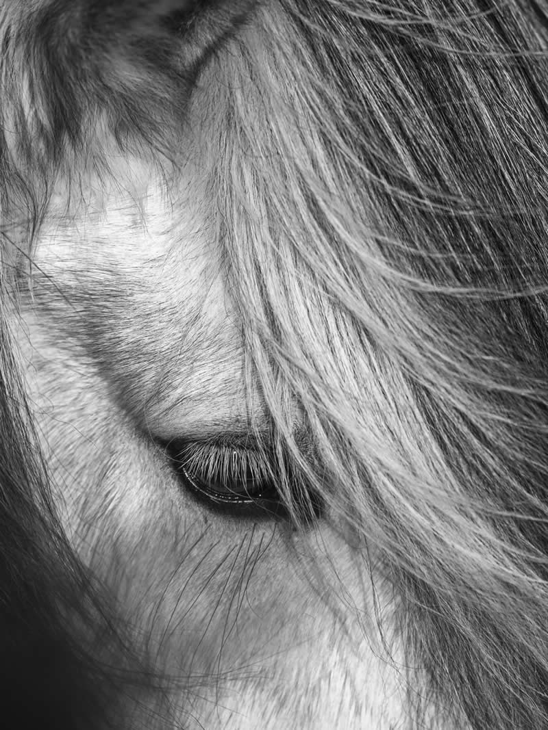 2025 Exposure One Awards Black and White Photographers of the Year