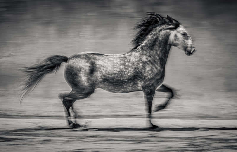 2025 Exposure One Awards Black and White Photographers of the Year