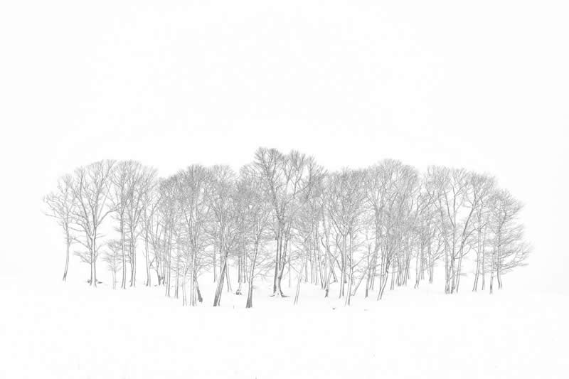 2025 Exposure One Awards Black and White Photographers of the Year