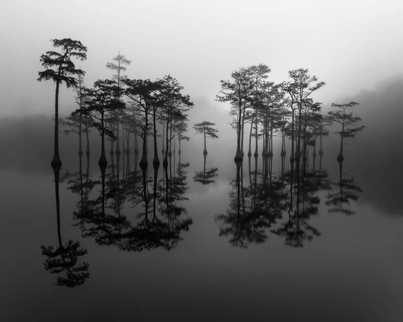 2025 Exposure One Awards Black and White Photographers of the Year