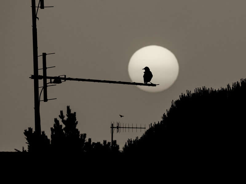 2025 Exposure One Awards Black and White Photographers of the Year