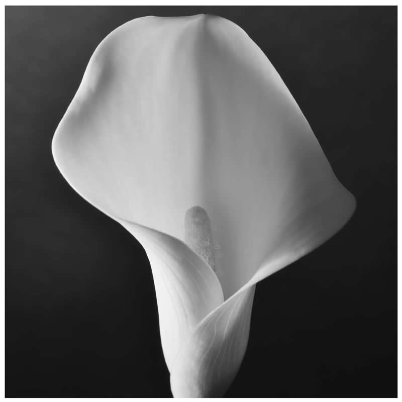 2025 Exposure One Awards Black and White Photographers of the Year