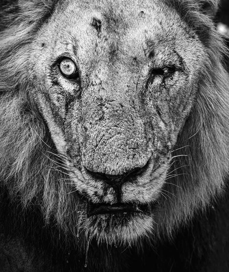 2025 Exposure One Awards Black and White Photographers of the Year