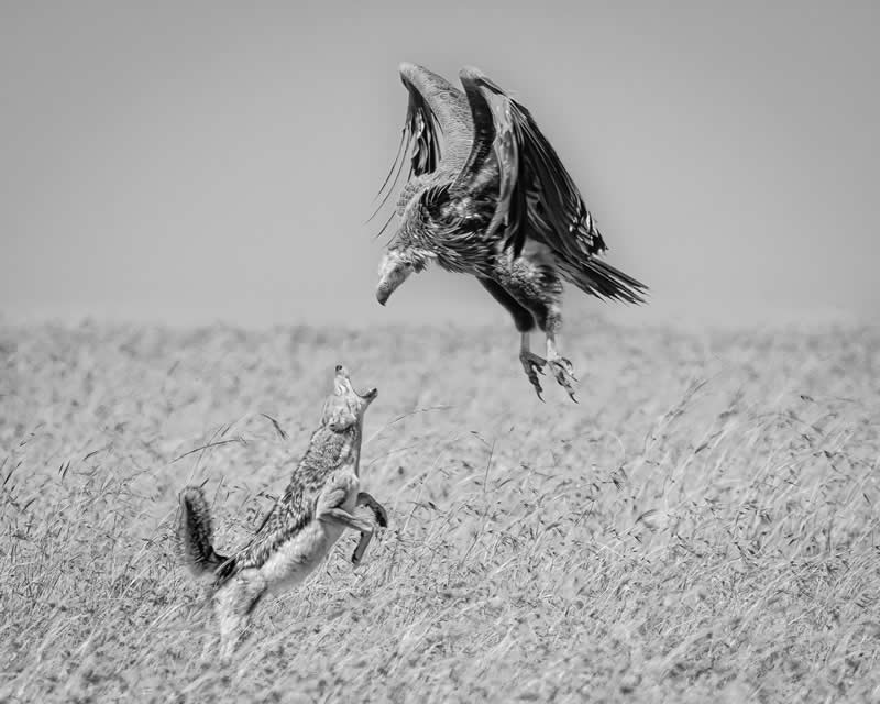 2025 Exposure One Awards Black and White Photographers of the Year