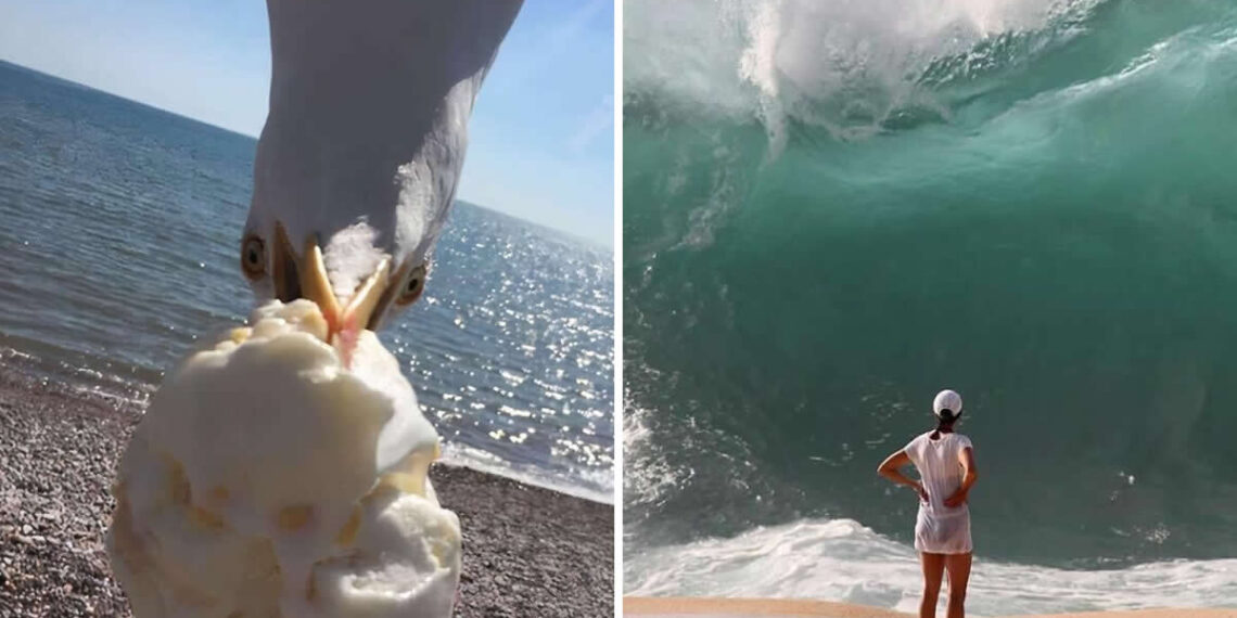 Seconds Before Disaster That Prove Timing Is Everything