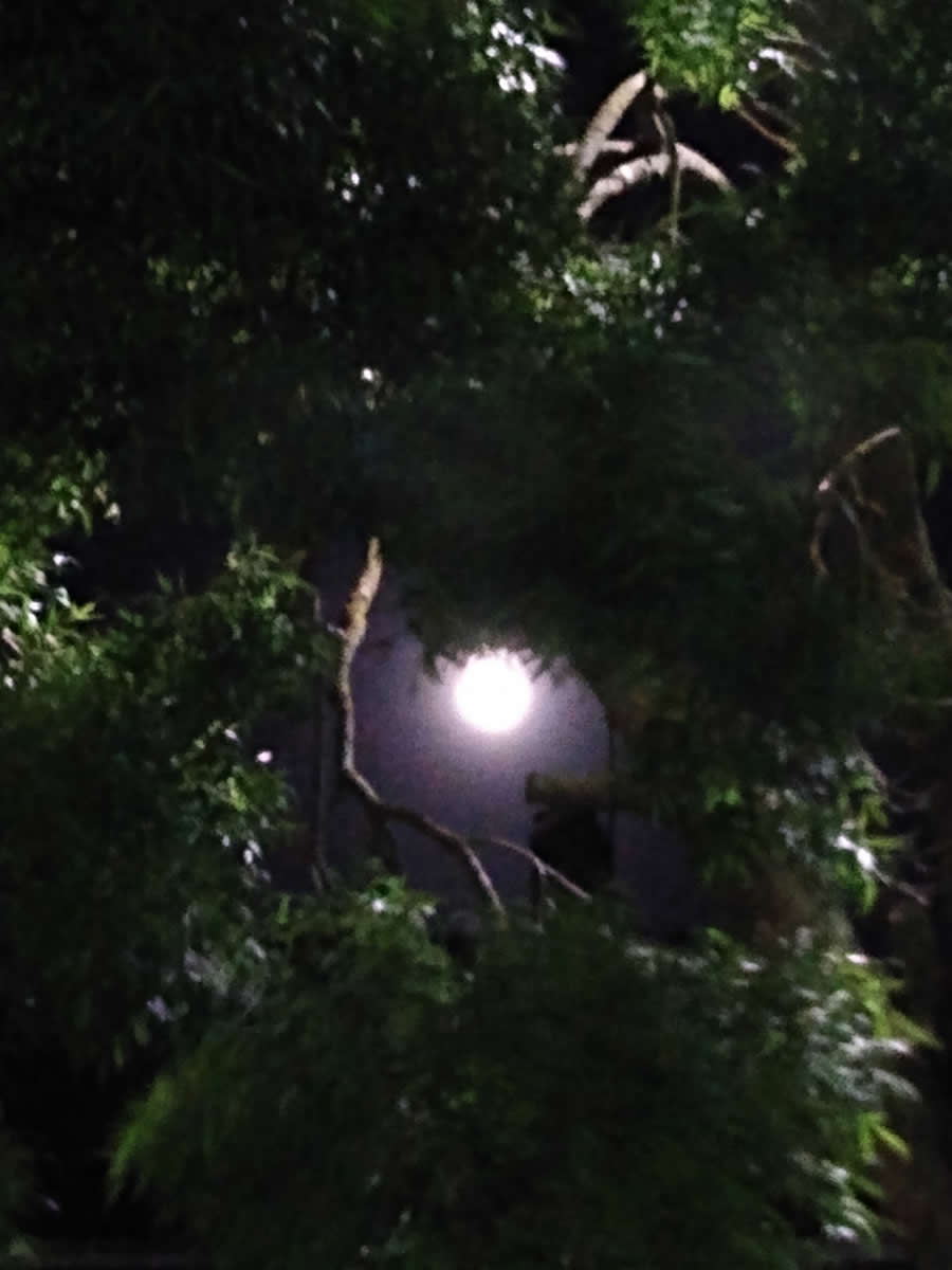 Gurushots Night Photography Winners Photo Challenge