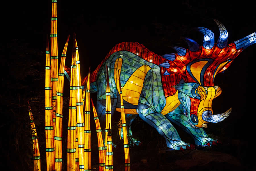 Gurushots Night Photography Winners Photo Challenge