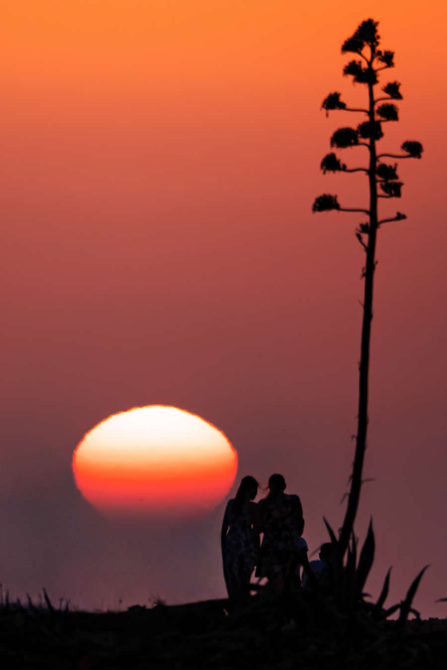 Gurushots Night Photography Winners Photo Challenge