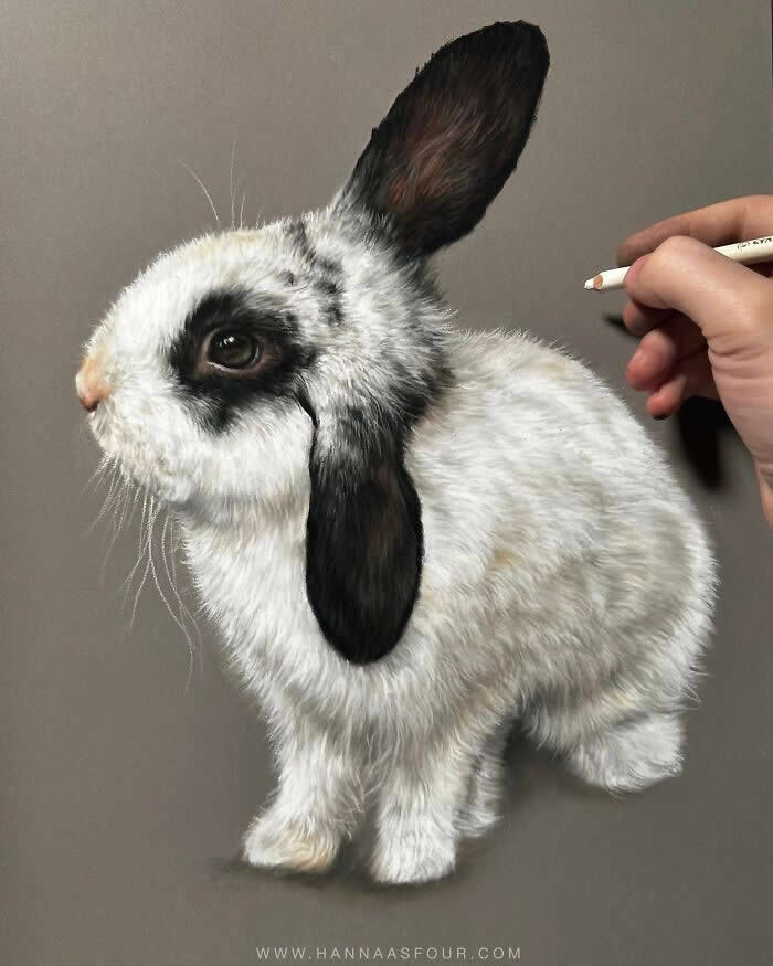 Hyperrealistic Pencil Drawings of Animals by Hanna Asfour