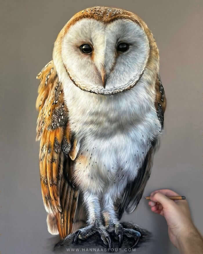 Hyperrealistic Pencil Drawings of Animals by Hanna Asfour