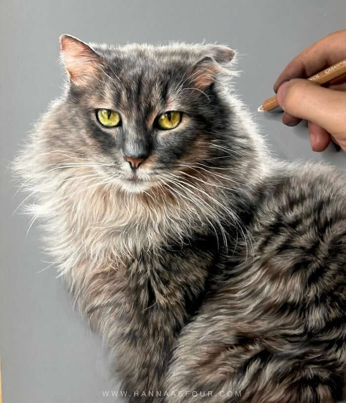 Hyperrealistic Pencil Drawings of Animals by Hanna Asfour