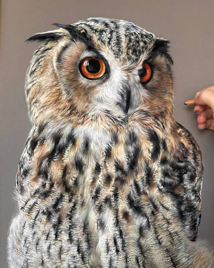 Hyperrealistic Pencil Drawings of Animals by Hanna Asfour