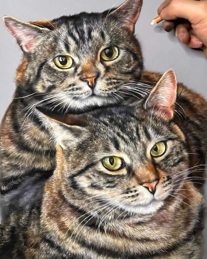 Hyperrealistic Pencil Drawings of Animals by Hanna Asfour