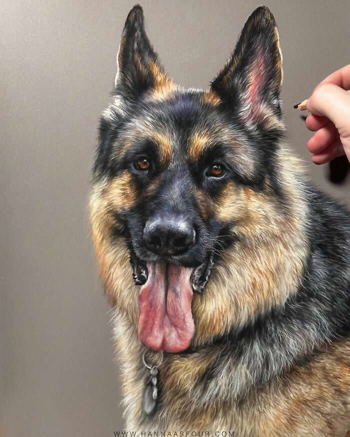 Hyperrealistic Pencil Drawings of Animals by Hanna Asfour