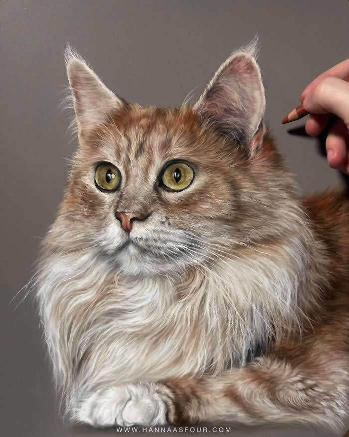 Hyperrealistic Pencil Drawings of Animals by Hanna Asfour