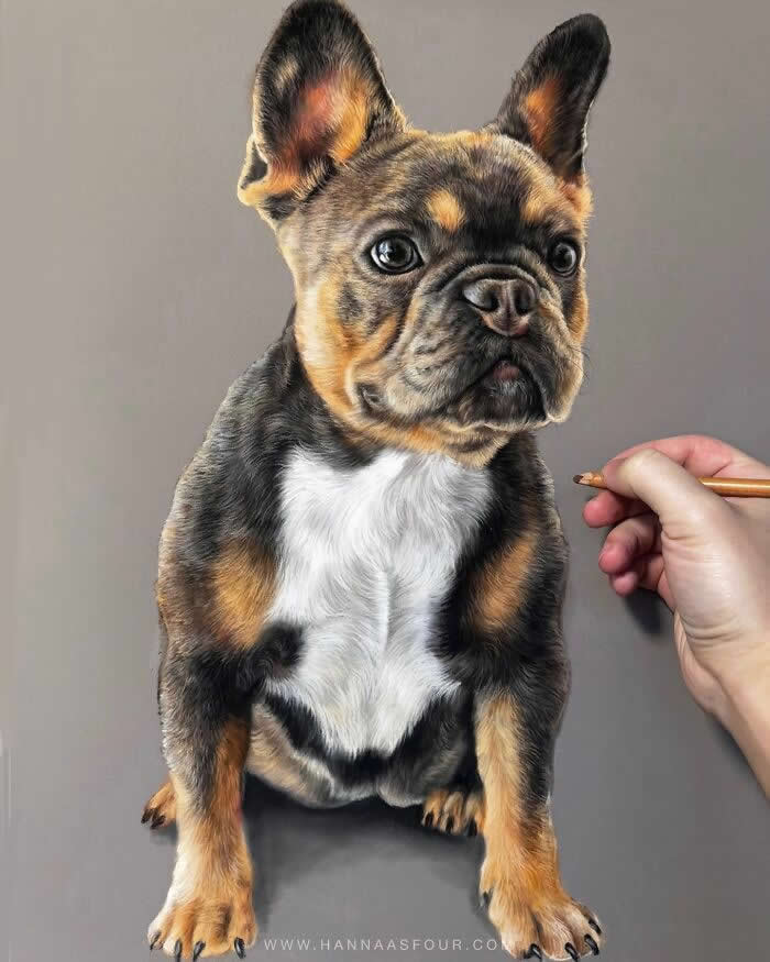 Hyperrealistic Pencil Drawings of Animals by Hanna Asfour