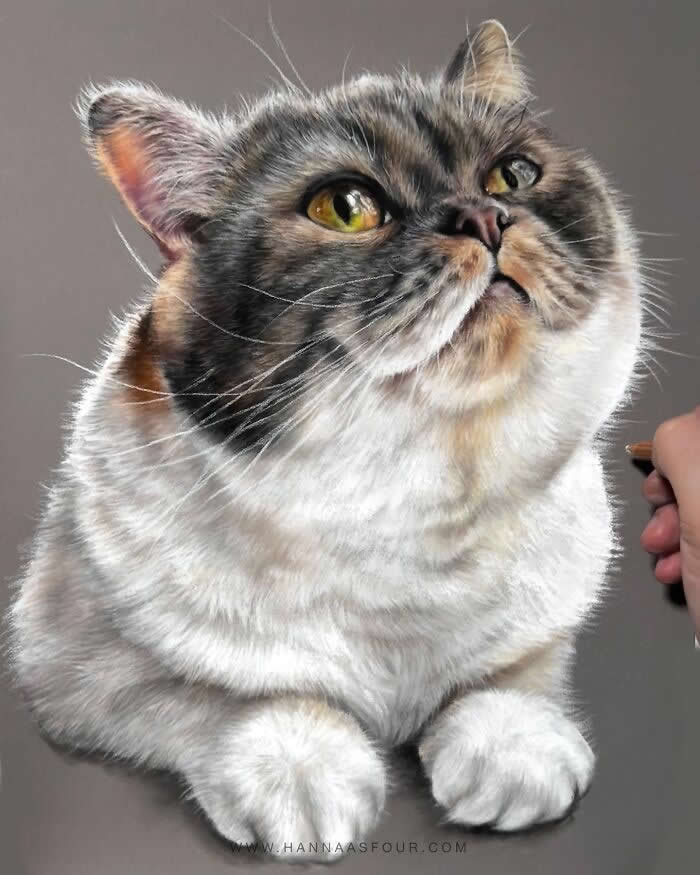 Hyperrealistic Pencil Drawings of Animals by Hanna Asfour