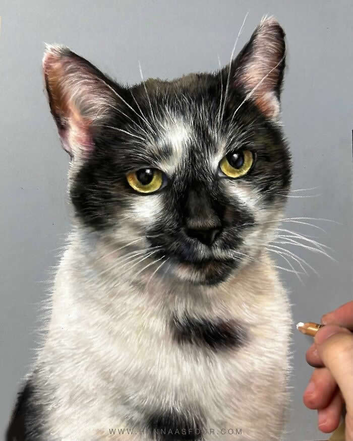 Hyperrealistic Pencil Drawings of Animals by Hanna Asfour