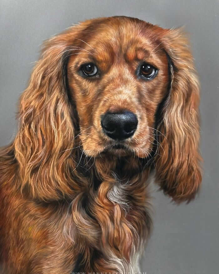 Hyperrealistic Pencil Drawings of Animals by Hanna Asfour