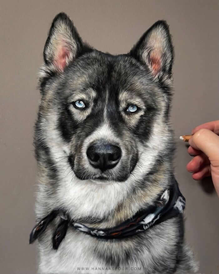 Hyperrealistic Pencil Drawings of Animals by Hanna Asfour