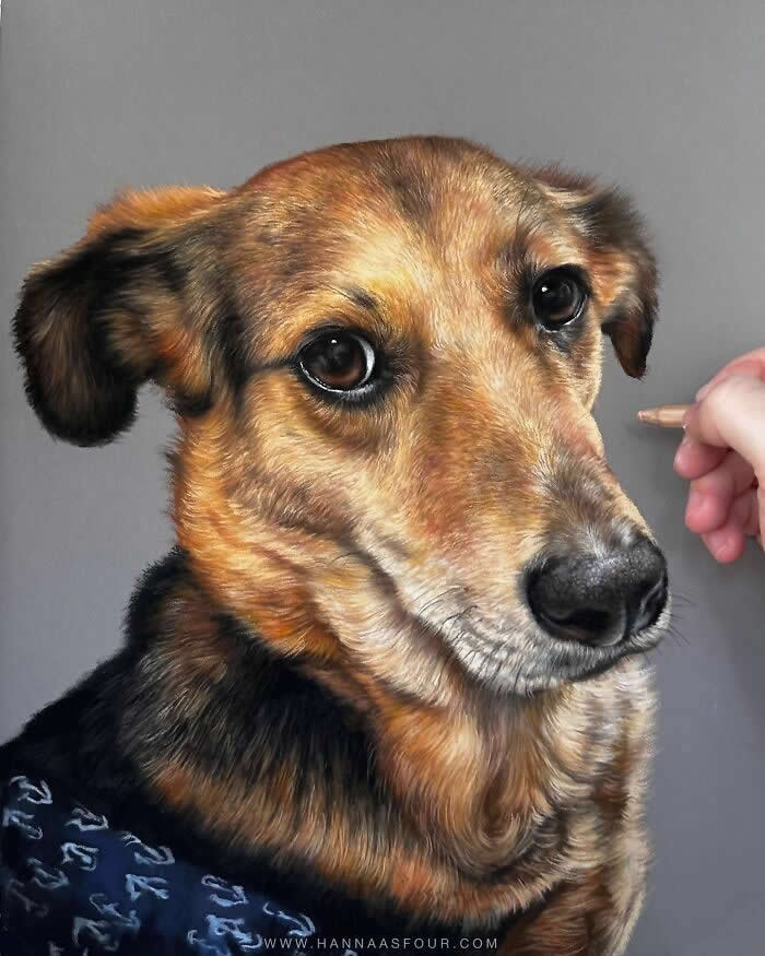 Hyperrealistic Pencil Drawings of Animals by Hanna Asfour