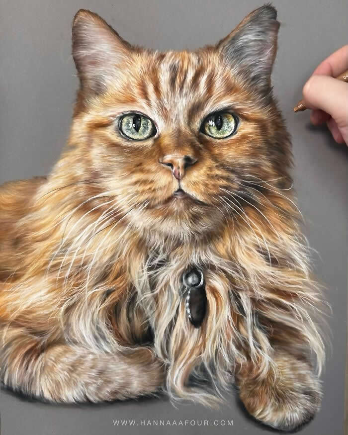 Hyperrealistic Pencil Drawings of Animals by Hanna Asfour