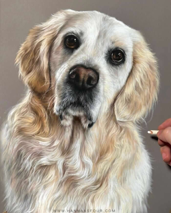 Hyperrealistic Pencil Drawings of Animals by Hanna Asfour