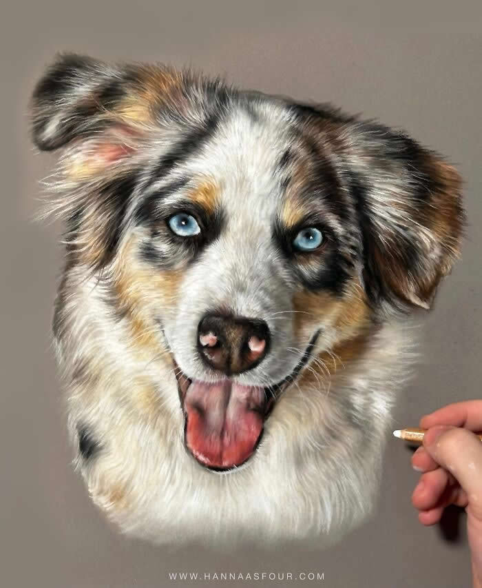 Hyperrealistic Pencil Drawings of Animals by Hanna Asfour