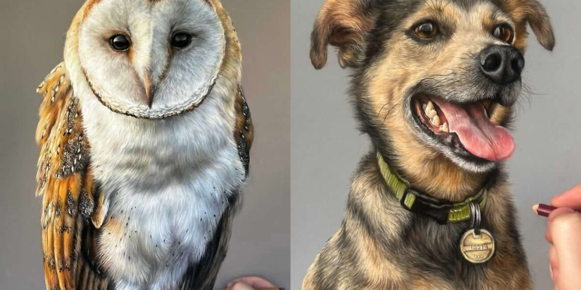 Hyperrealistic Pencil Drawings of Animals by Hanna Asfour