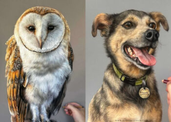 Hyperrealistic Pencil Drawings of Animals by Hanna Asfour