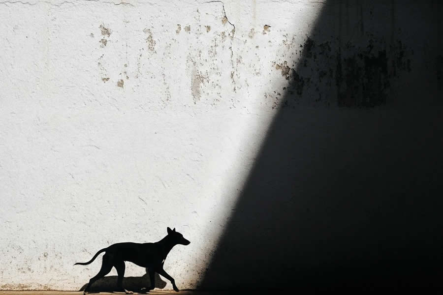 Indian Street Photography by Uwais Chaudhry