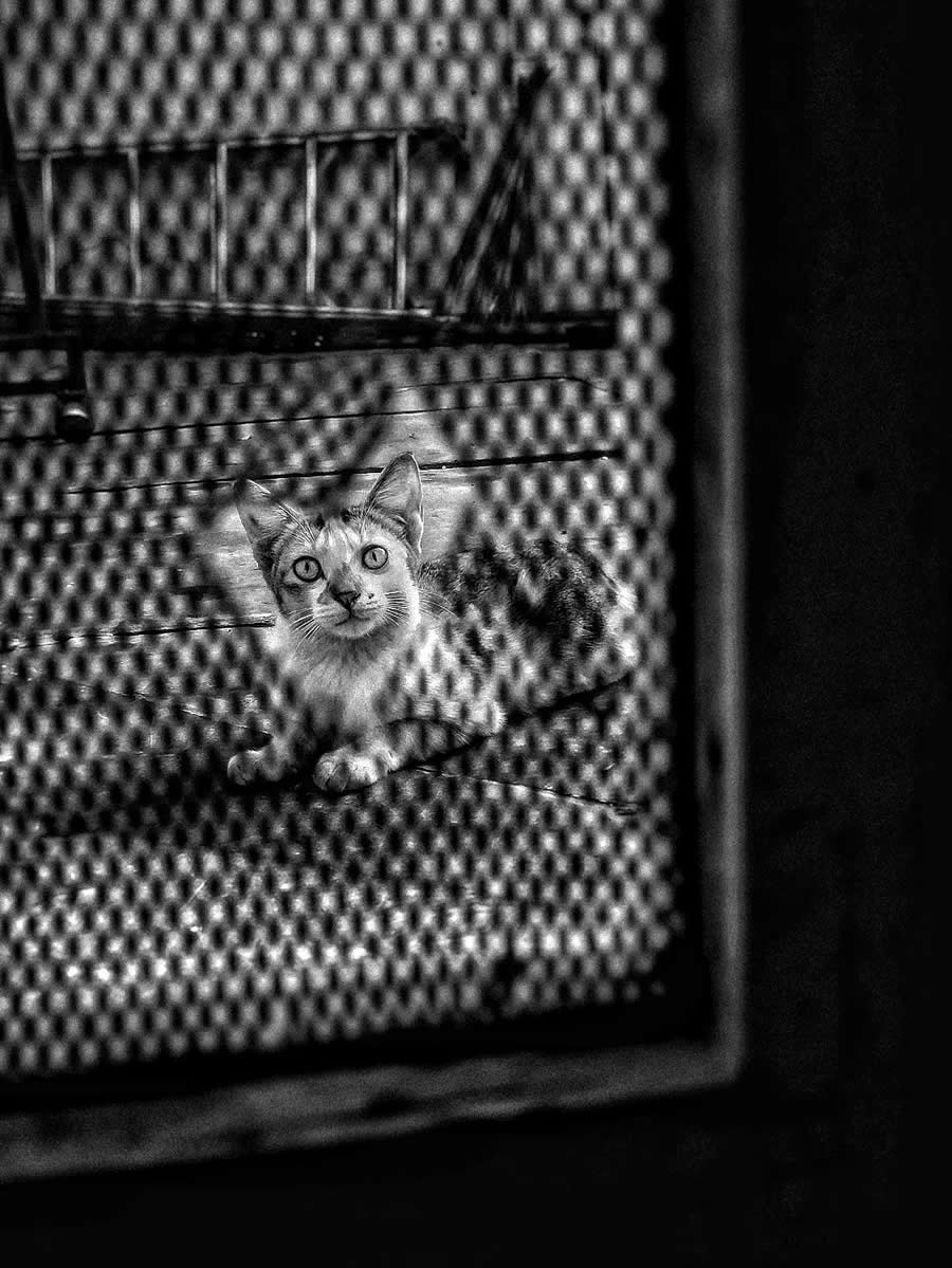 Indian Street Photography by Uwais Chaudhry