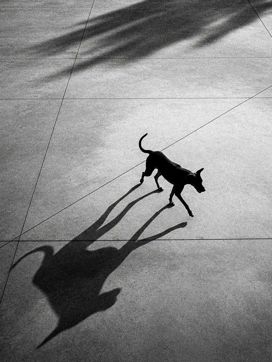 Indian Street Photography by Uwais Chaudhry